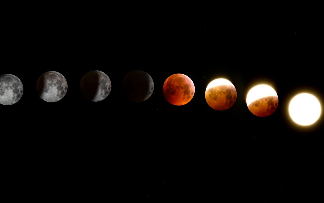 Illustration du cycle complet des phases de la lune, symbolisant le mouvement perpétuel et les étapes de la transformation intérieure.